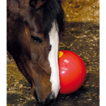 Jouets pour chevaux 