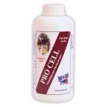 Récupération et Condition Physique du Cheval 