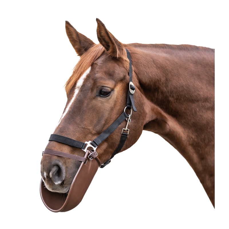 WALDHAUSEN - Bavette de protection pour couverture ou soins du cheval