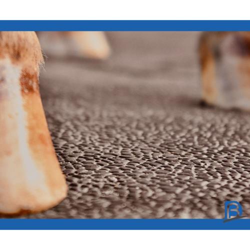 APOLLON - Dalle caoutchouc puzzle de box, douche chevaux dim. 1.00M X 1.00M