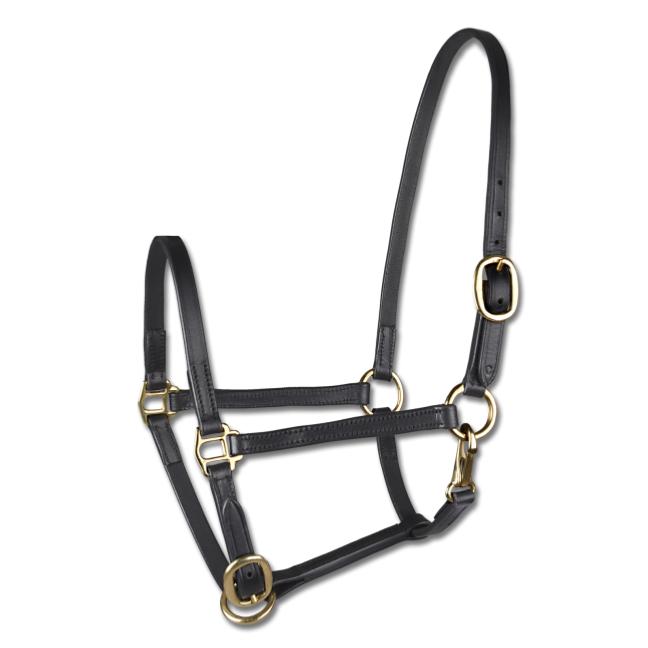 WALDHAUSEN - Licol de présentation poulain en cuir BLANC POULAIN MINI SHETLAND