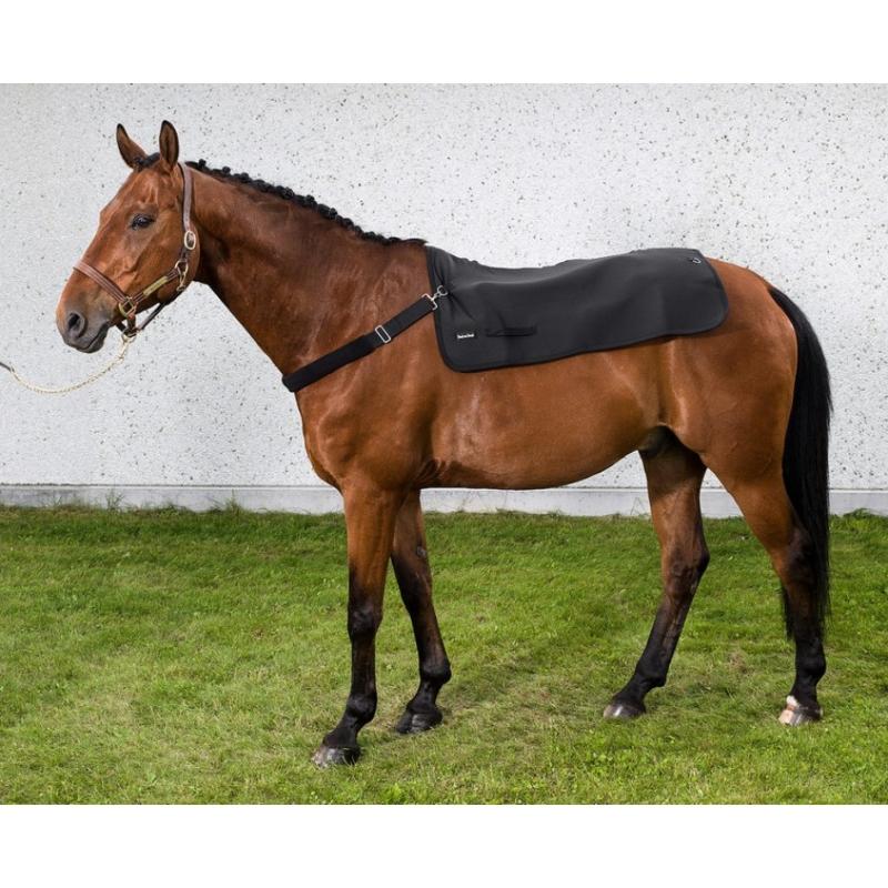 BACK ON TRACK -  Back Warmer tapis de dos en tissu Welltex décontractant Taille : 100 x 100 cm