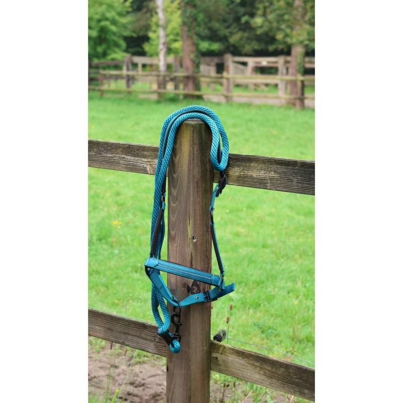 LAMI-CELL - Licol synthétique matelassé avec Strass CHARMING ROSE