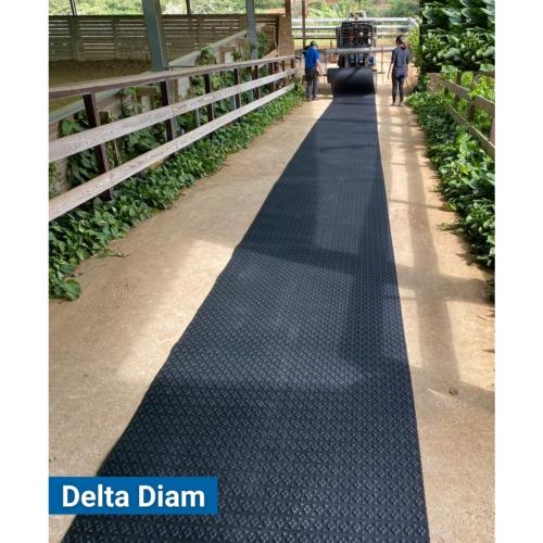 Tapis caoutchouc chevaux Grande Largeur pour box , couloir d'écurie, MAJOR 240 cm 100 CM