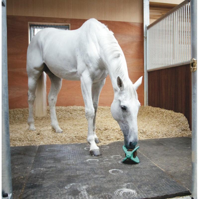 LIKIT - Support de pierre à lécher pour Cheval au Box BIZZY BALL BLEU