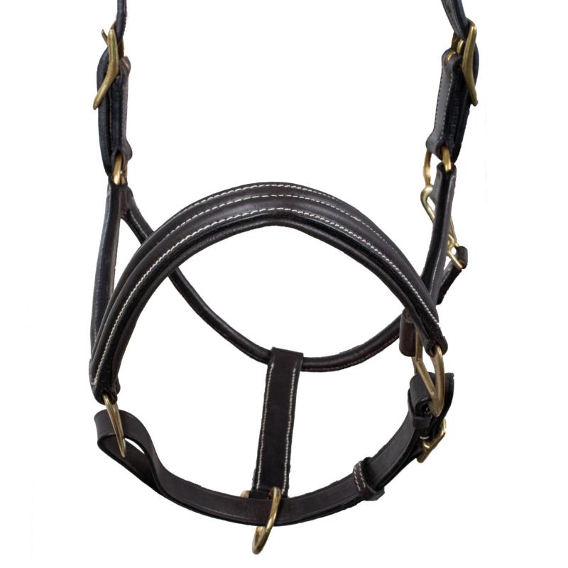 SUPREME - Licol en cuir triple épaisseur multi réglage matelassé NOIR PONEY