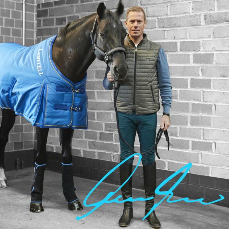 LAMI-CELL - ICE BOOTS Guêtres de Repos Pro Cooling Gel CHEVAL