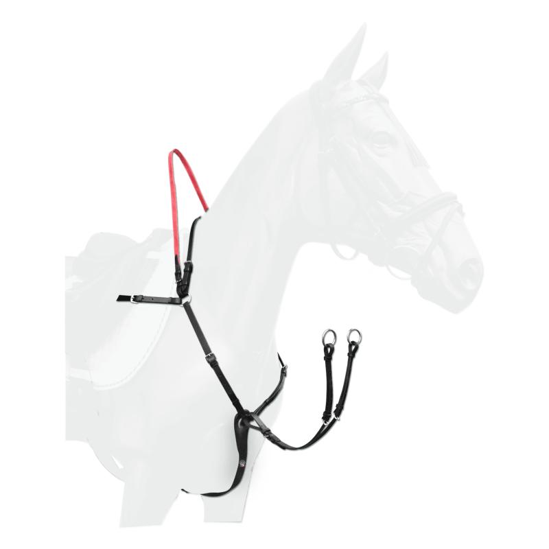 Collier de Chasse + Poignée de Sécurité, WALDHAUSEN