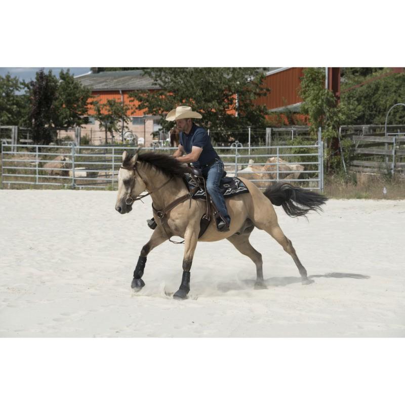 FRANCK PERRET - Selle Western équipée en cuir Arvada WESTRIDE 15 pouces/38 CM