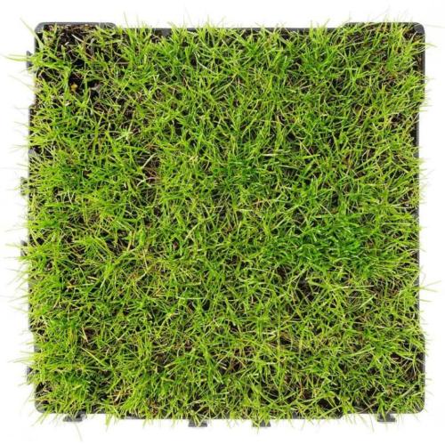 Dalles de Stabilisation Sols Paddock et Abris Chevaux STAB MAX, au M2