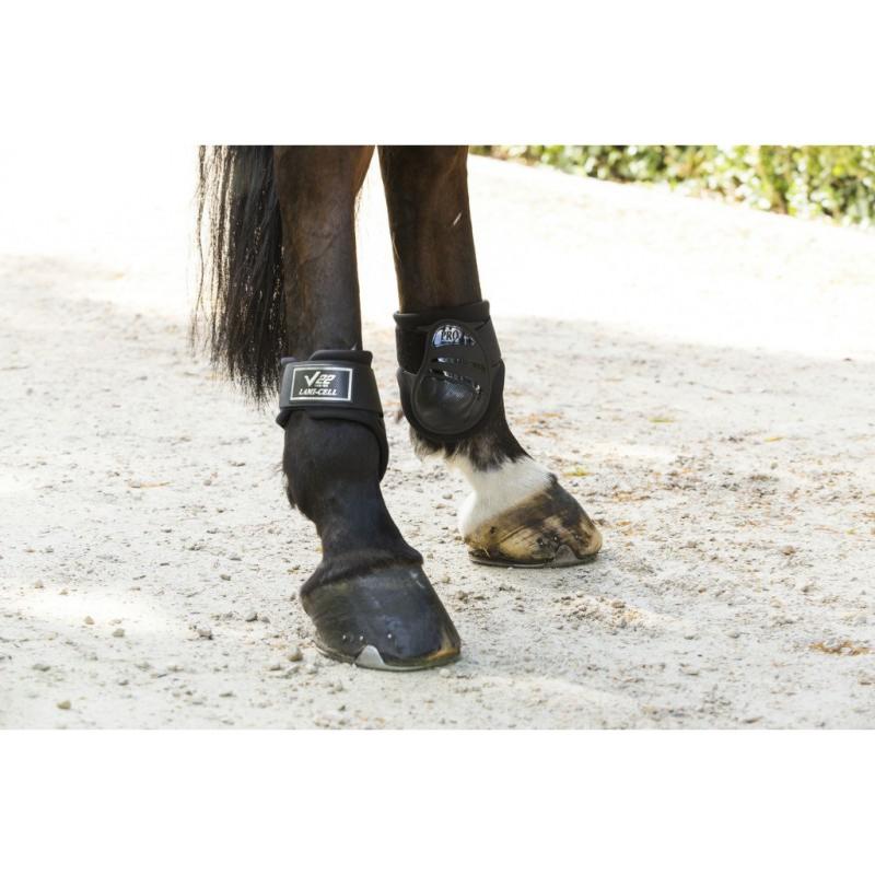 LAMI-CELL - Protège Boulets à Coque V22 Jeunes Chevaux à Velcro YOUNGSTER TAILLE M