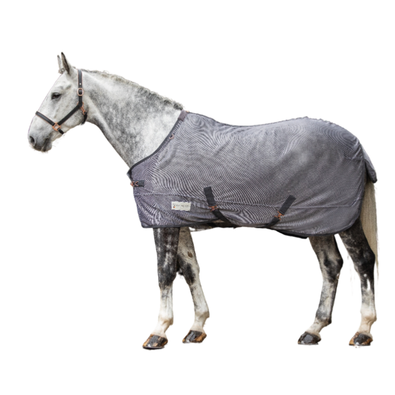 WALDHAUSEN - Chemise Anti Mouches en maille filet légère COMFORT GRIS 125 CM/5'9/175 cm