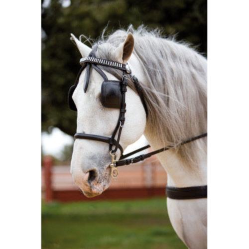 HH - Harnais d'attelage complet cuir matelassé boucles inox KIEL COB