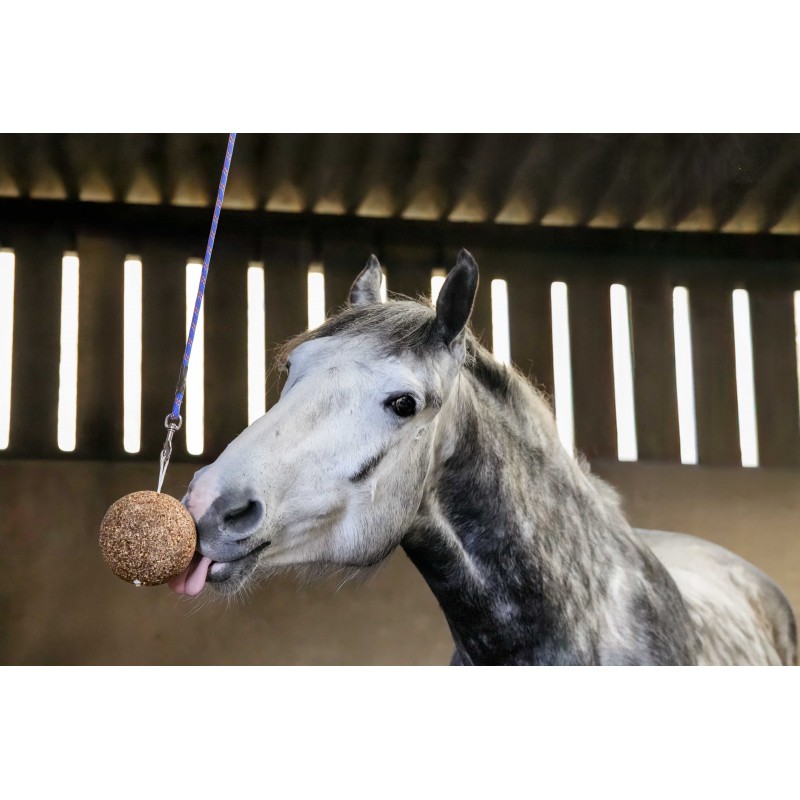 LIKIT - Boule à lécher Stall Ball Allégée en sucres pour cheval au box