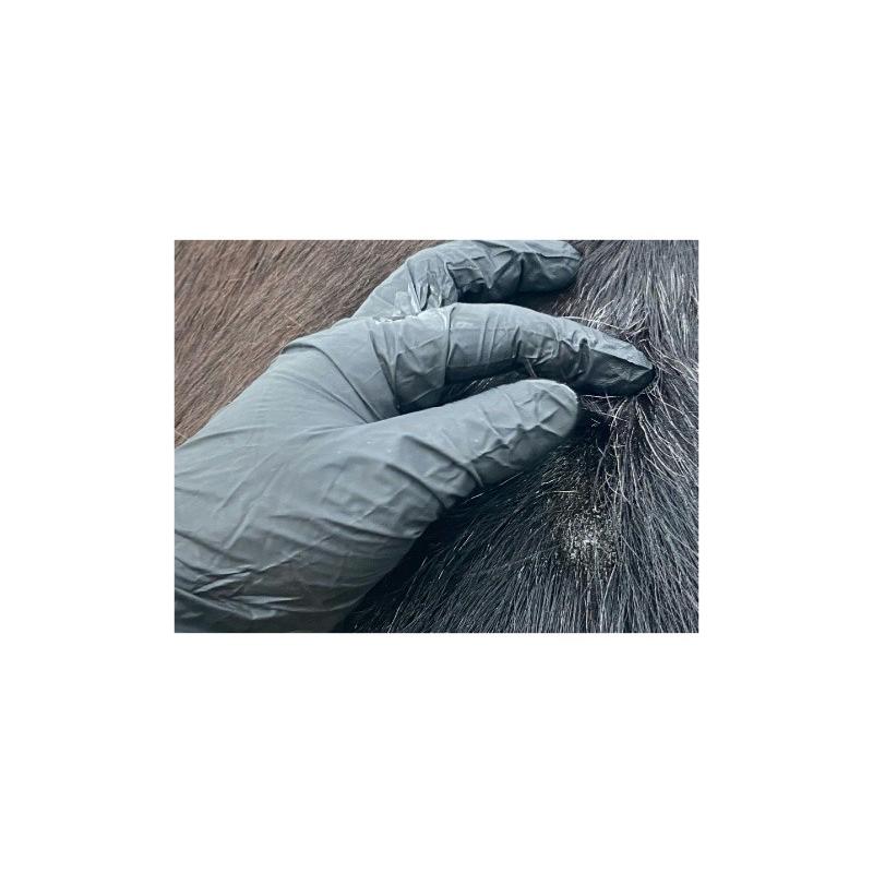 ANIMADERM- Lotion Originale contre la Dermite du Cheval, spéciale peau fine 250 ML