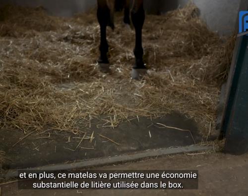 Matelas de box chevaux épais 40 MM butyl et caoutchouc sur mesure, au M²