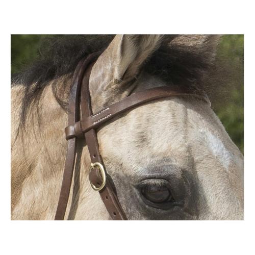 FRANCK PERRET - Bridon Western COLORADO WESTRIDE 