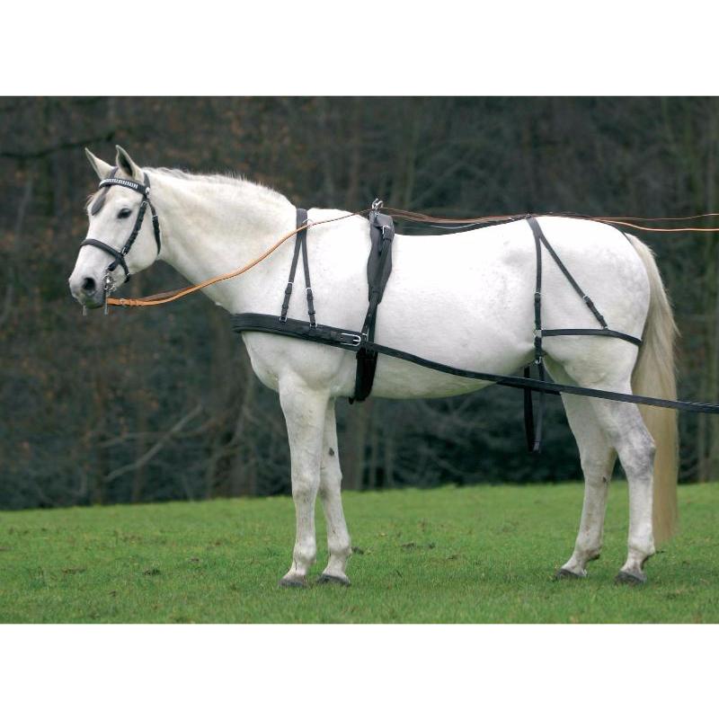WALDHAUSEN - Harnais d'Attelage Cheval Complet en Cuir COB à Trait