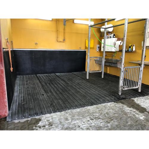 MAGELLAN - Tapis draimant pour zone de douche chevaux, le ML