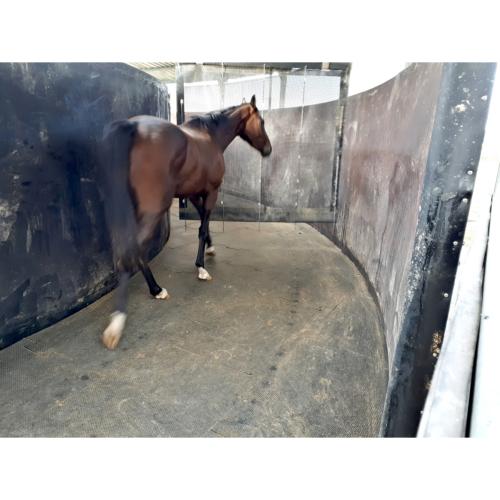 Habillage pour Parois de Box chevaux , Marcheur en caoutchouc recyclé Ep.17 MM, Le M2