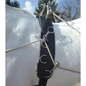 Felix BRASSEUR - Surfaix pour Travail à pied aux Longues Rênes 