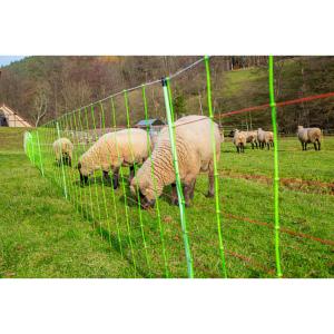 PATURA - Filet électrifié H1.20M pour Clôture Moutons, Chèvres, Loups 30 M 