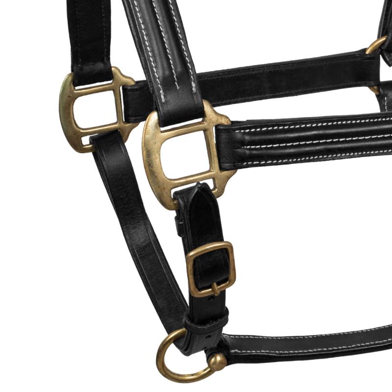 SUPREME - Licol en cuir triple épaisseur multi réglage matelassé NOIR PONEY