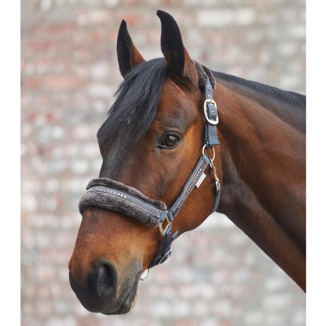 WALDHAUSEN - Licol nylon mouton et Strass ELEGANT PONEY ESPRESSO