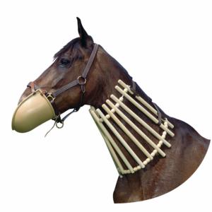 HIPPOTONIC - Collier Bois Anti Colique pour soins du Cheval 