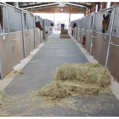 Tapis caoutchouc chevaux Grande Largeur pour box , couloir d'écurie, MAJOR 240 cm 100 CM