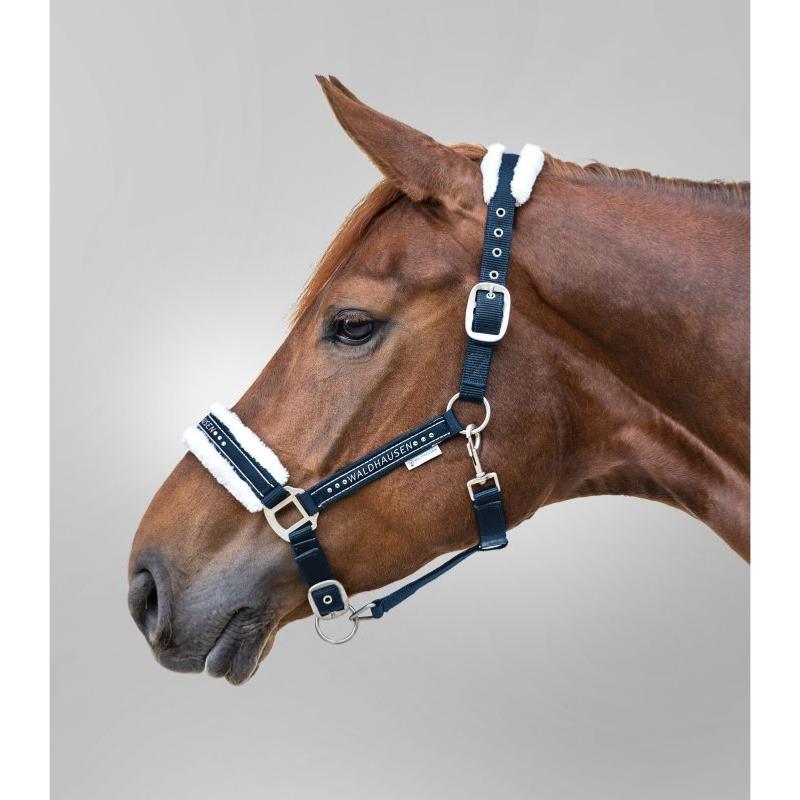 WALDHAUSEN - Licol nylon mouton et Strass ELEGANT PONEY ESPRESSO