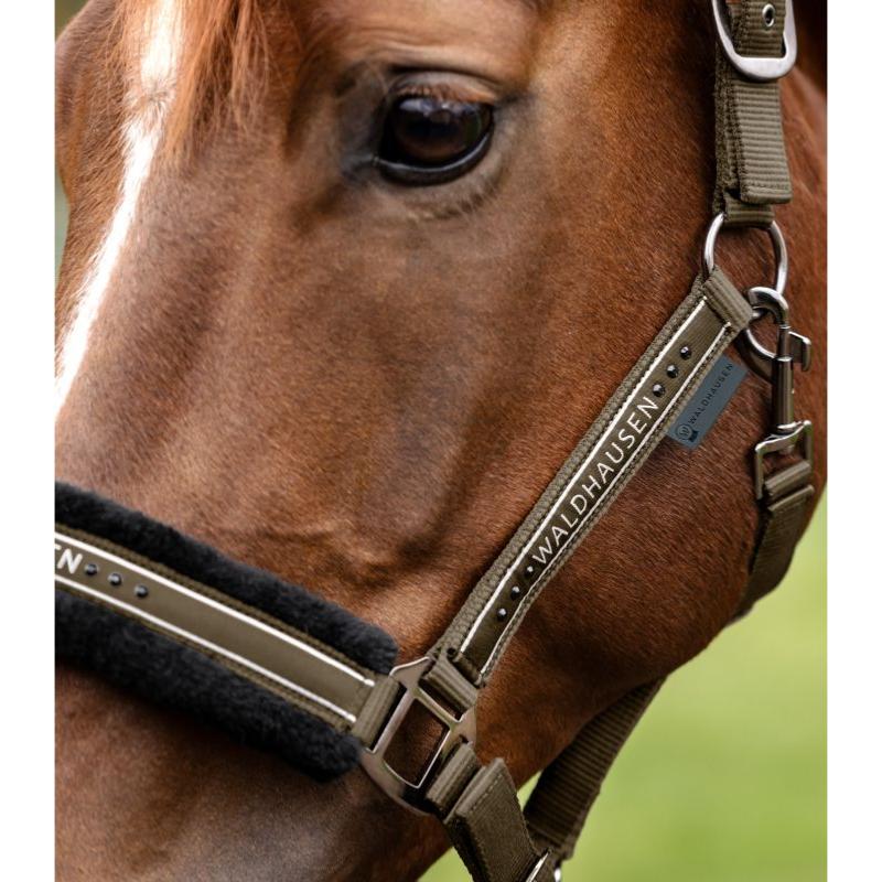 WALDHAUSEN - Licol nylon mouton et Strass ELEGANT PONEY ESPRESSO