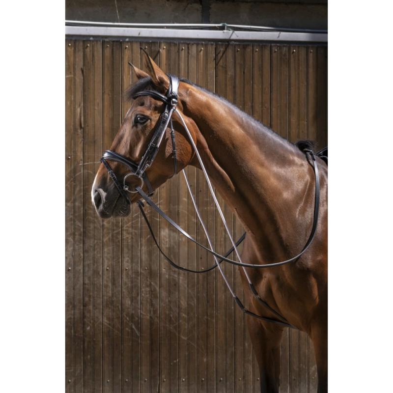 Enrênement Modèle Chambon Cuir et Poulies, ERIC THOMAS NOIR