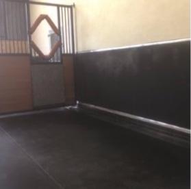 Paroi amortissante box, salle de Poulinage capitonnage 40 MM CENTAURE, au M2 120 CM 100 CM