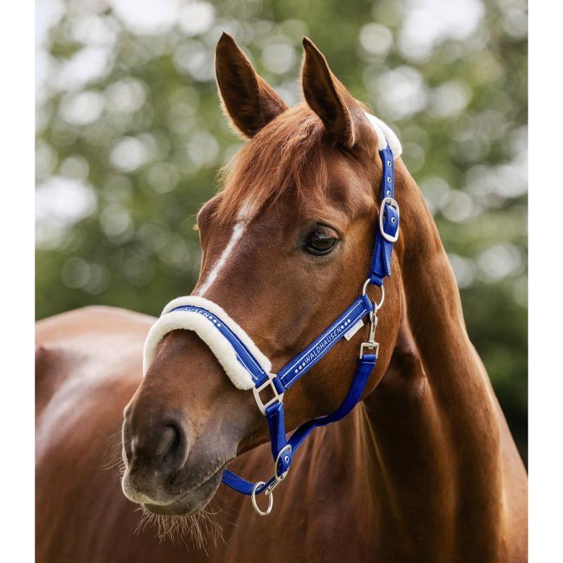 WALDHAUSEN - Licol nylon mouton et Strass ELEGANT PONEY ESPRESSO