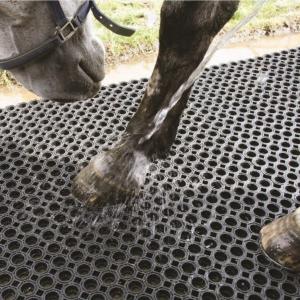 CHALLENGER - Dalle douche 1.50M X 1.00 M caillebotis 23 mm pour Chevaux