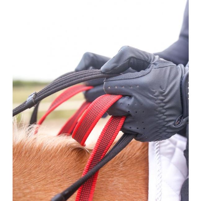 Collier de Chasse + Poignée de Sécurité, WALDHAUSEN PONEY