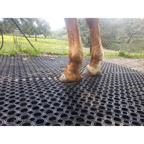 CHALLENGER - Dalle douche 1.50M X 1.00 M caillebotis 23 mm pour Chevaux