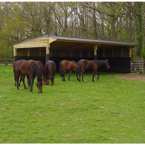 Habillage pour Parois de Box chevaux , Marcheur en caoutchouc recyclé Ep.17 MM, Le M2