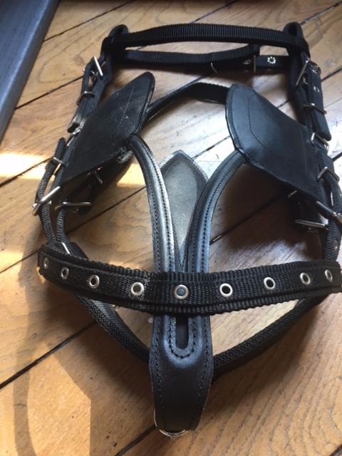 WALDHAUSEN - Harnais d'Attelage Synthétique PONEY, SHETLAND STAR, SHETLAND