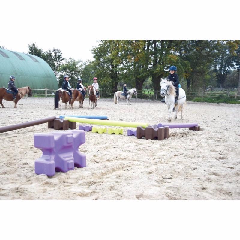 LA GEE - Cube d'Obstacle en Résine empilable et mutlipositions EASY CUBE CHOCO