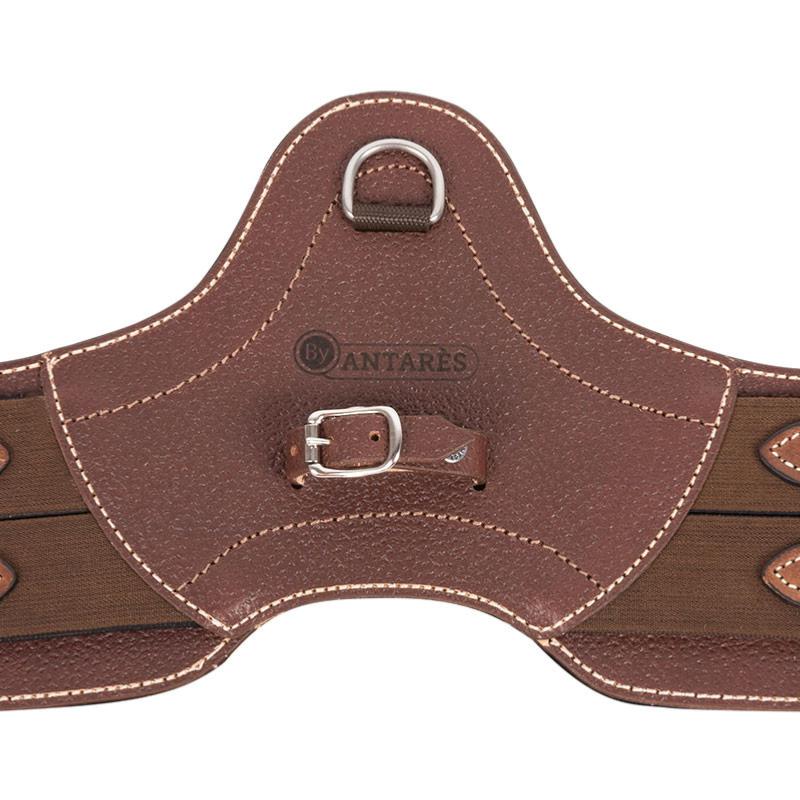 SIGNATURE by ANTARES - Sangle Courte Anatomique Doublure détachable 40 CM Intérieur Mousse MEMORY FOAM