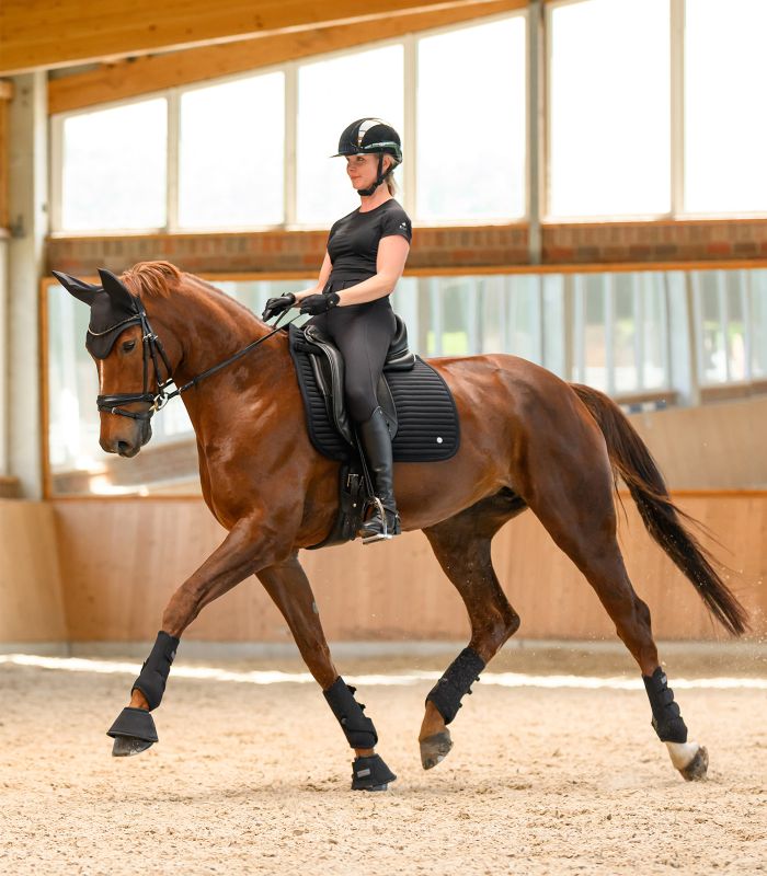 WALDHAUSEN - Chabraque en softshell respirant TRINIDAD NOIR FORME MIXTE