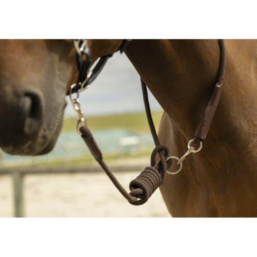 NORTON - Longe de Randonnée Nylon et Cuir cheval