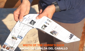 Outil de Mesure d'Ouverture d'Arcade pour Selle anglaise toutes marques