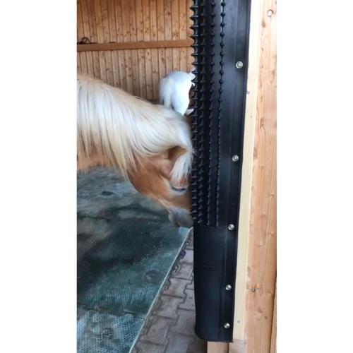 GRATT'O GRATTE - Grattoir caoutchouc mural chevaux à picots