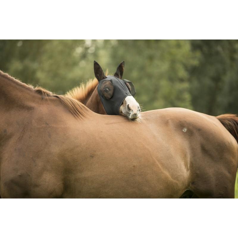 LAMI-CELL - Masque anti-mouche Intégral avec ZIP Taille poulain à Cheval PONEY