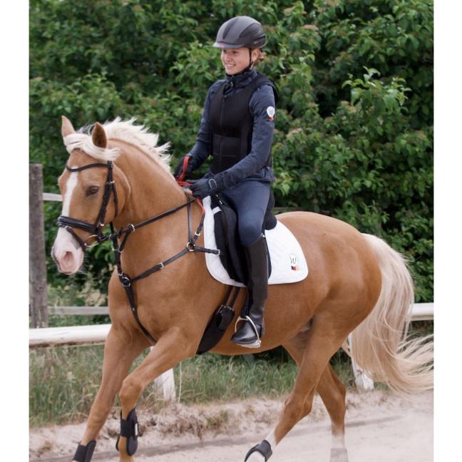 Collier de Chasse + Poignée de Sécurité, WALDHAUSEN PONEY