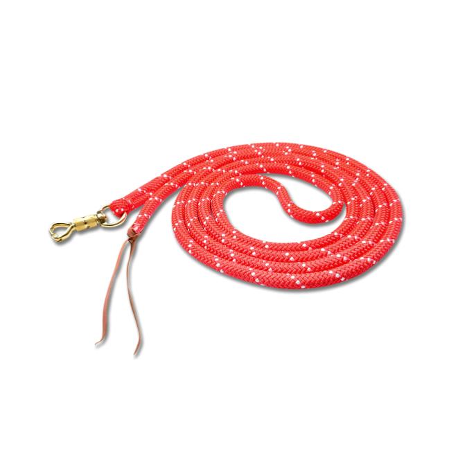 Longe Solide à Mousqueton de Sécurité Pivotant 4.20M, WALDHAUSEN NOIR