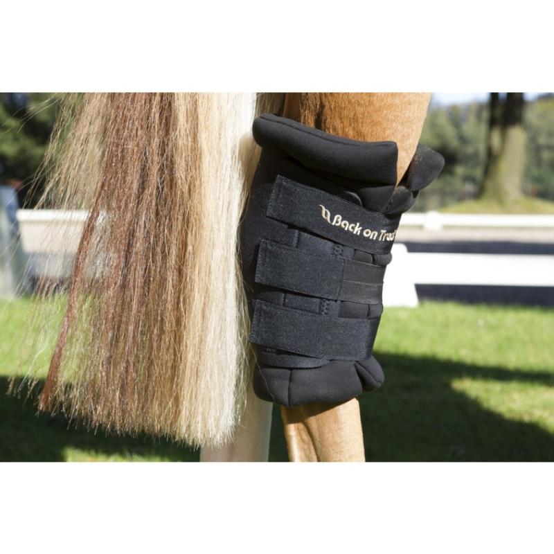 BACK ON TRACK - Protection de jarret en tissu Welltex décontractant ROYAL